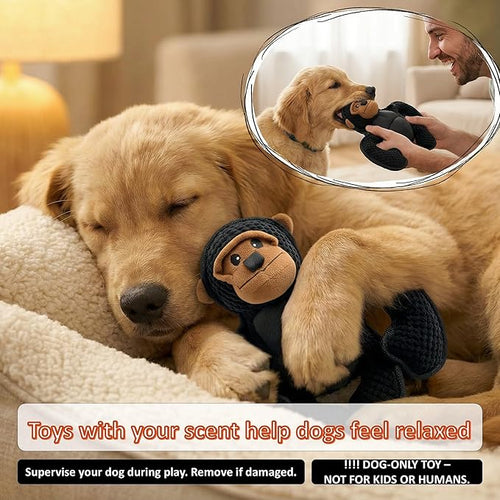 Black Monkey Plush Dog Toy – Interactive Soft Chew Toy for Dogs with Squeaker