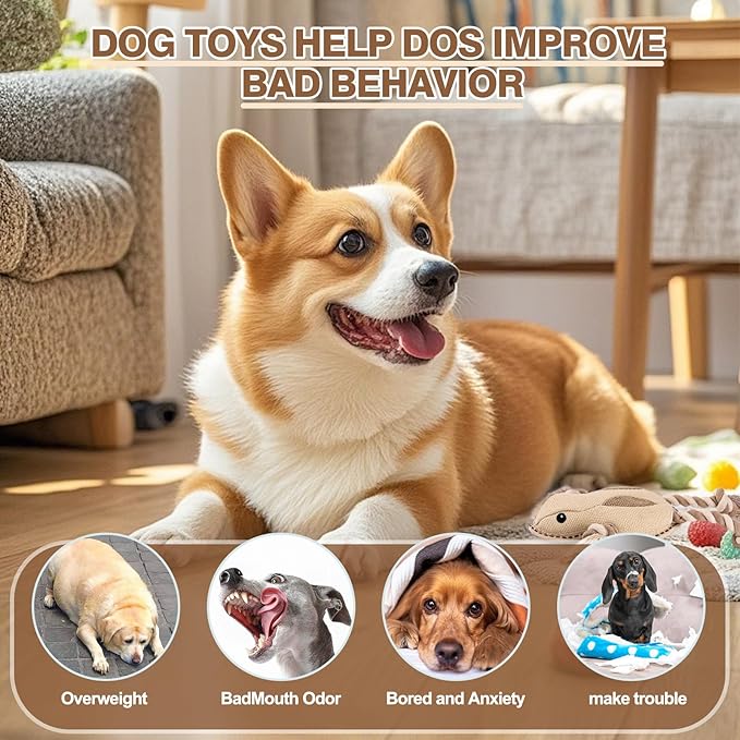 Durable Knotted Rope Dog Toy for Chewing, Tug and Interactive Play